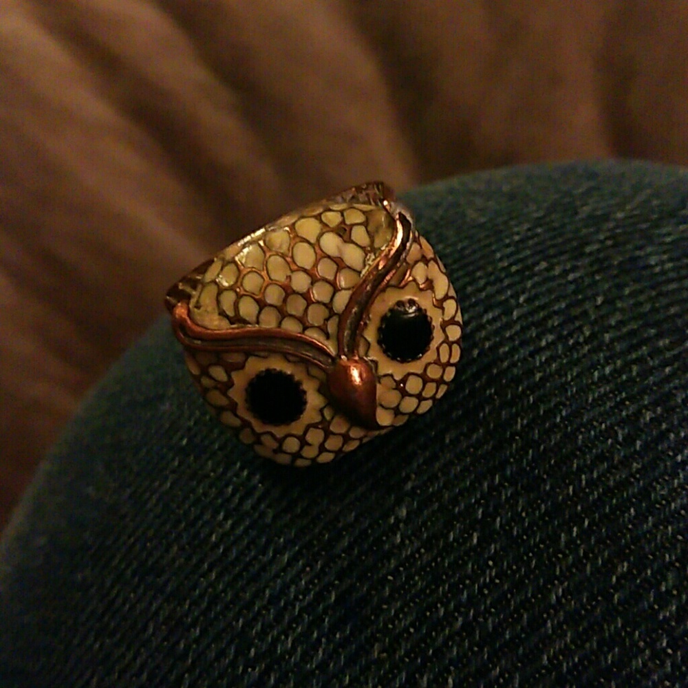 Hand Painted OWL Ring!!